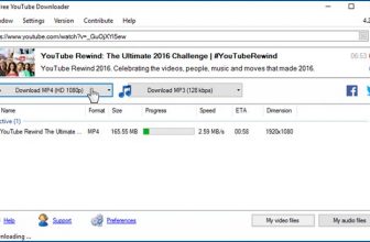 Free YouTube Downloader - HOW 03