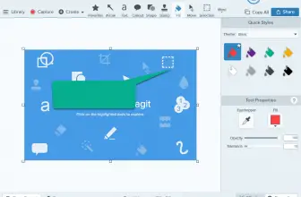 Snagit-006